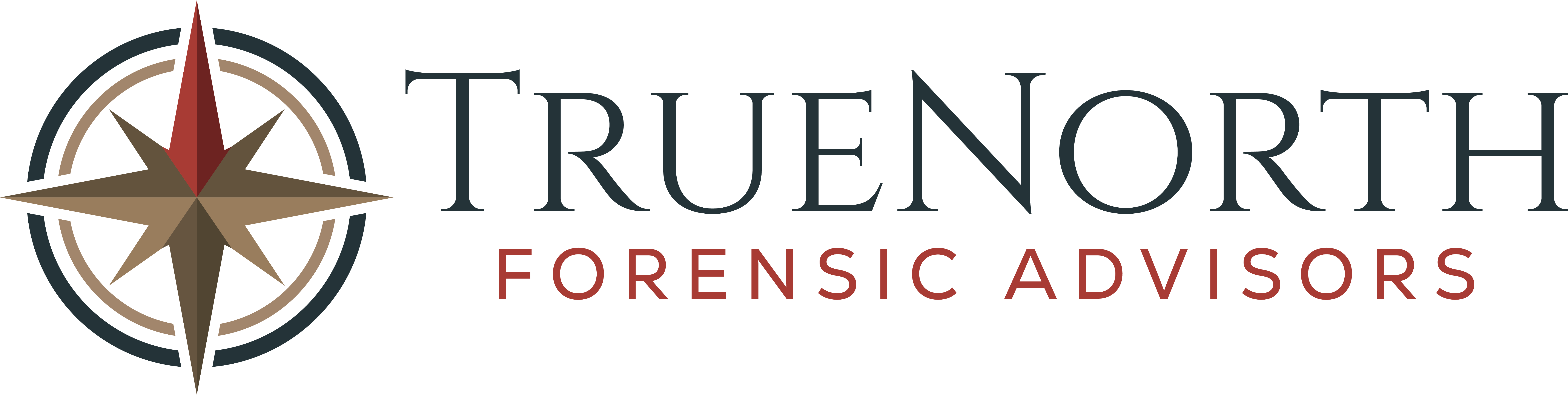 TrueNorth Forensic Advisors